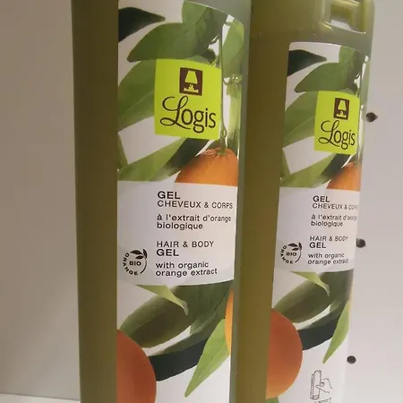 Logis Chateaubriand 2*